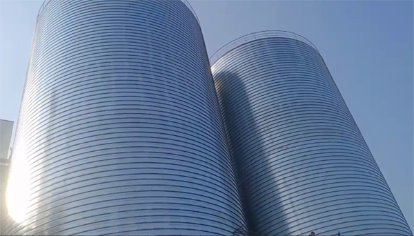 徐州2座混凝土高架卷板仓